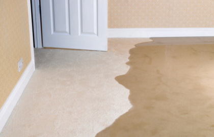 New Jersey Flood & Water Damaged Carpet